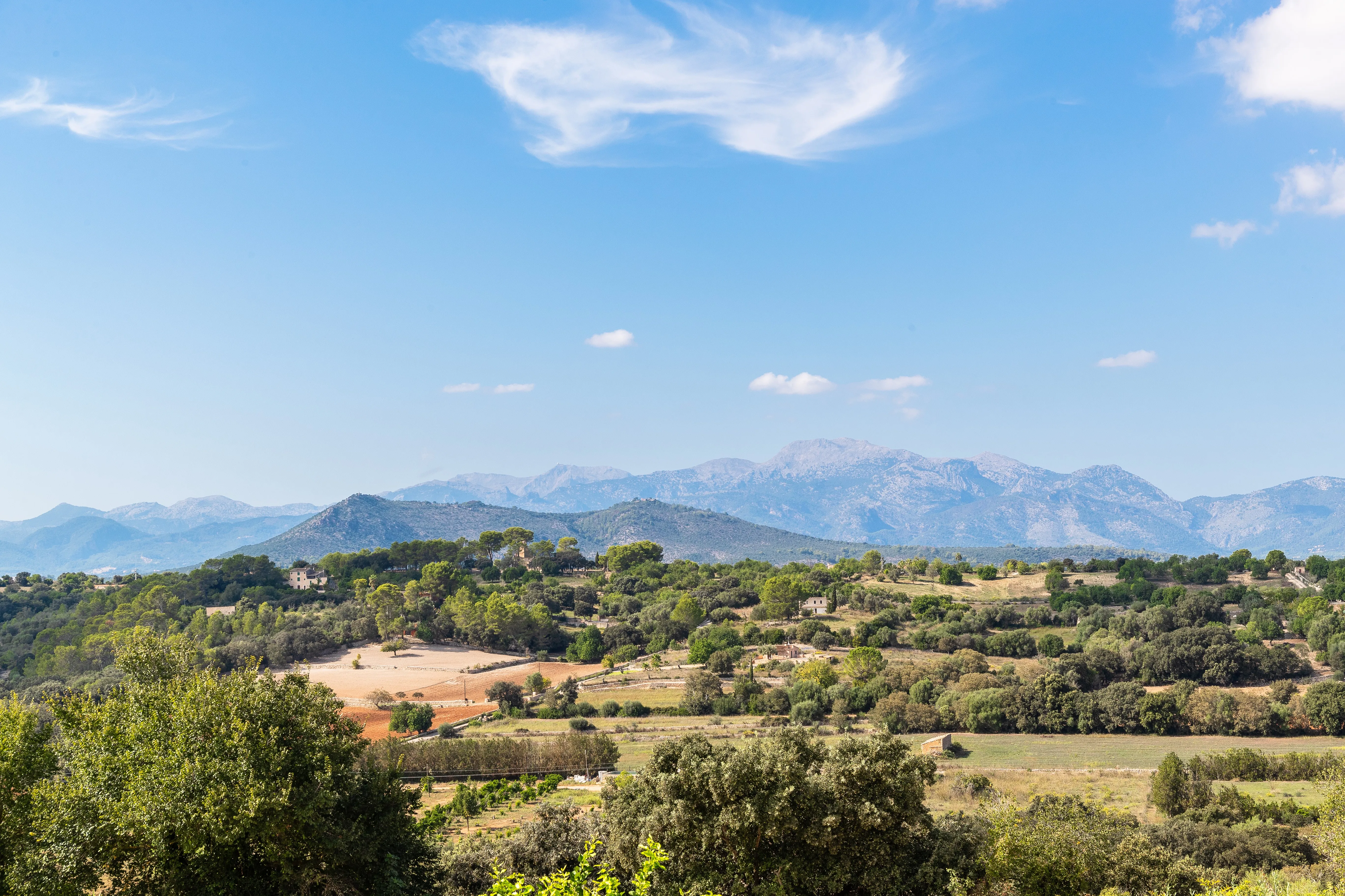 Finca project voor voltooiing in Llubi-2