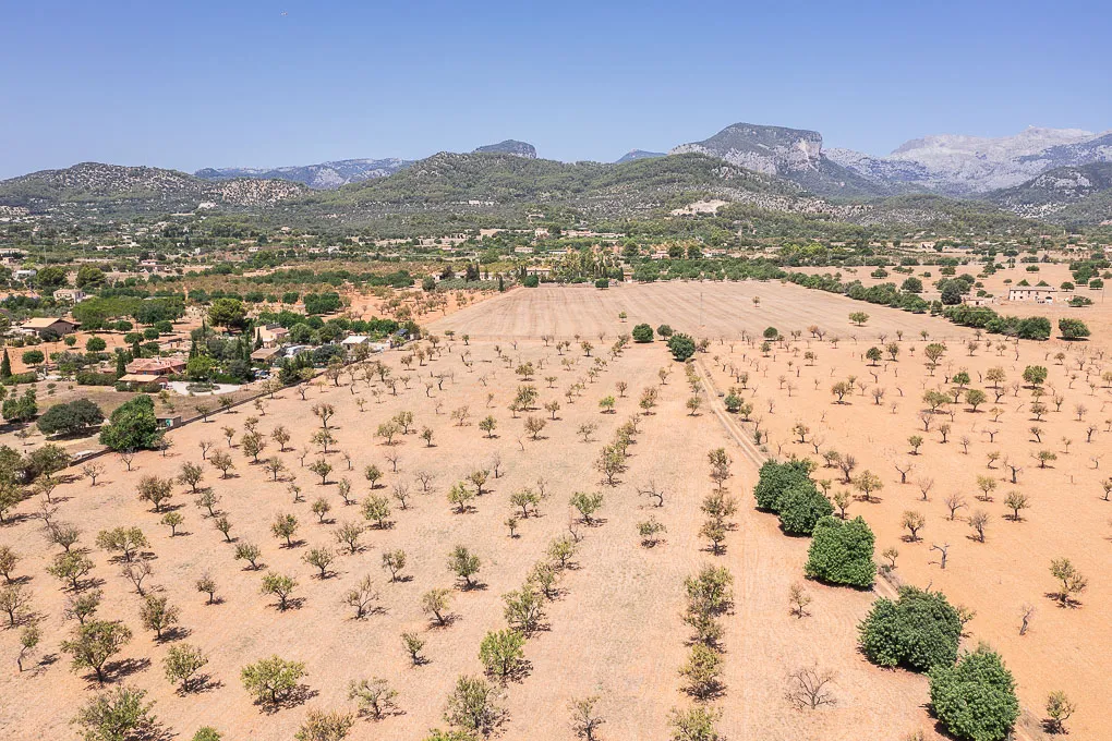 Terrain avec permis et vue imprenable sur les montagnes de Tramuntana-10