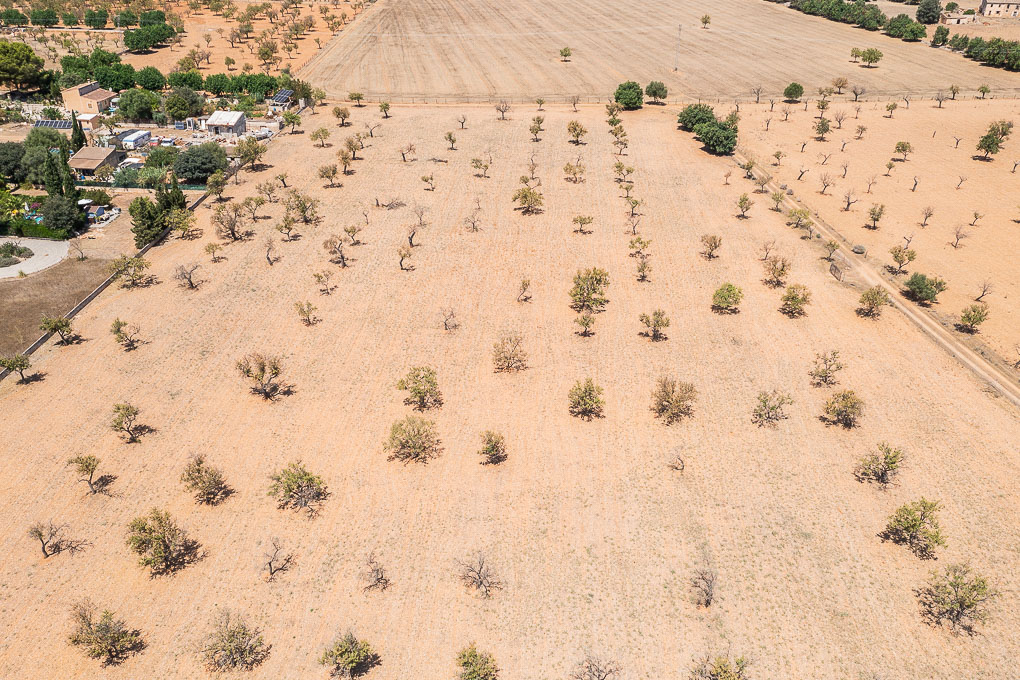 Exclusive plot with building licence in Binissalem: a luxury retreat surrounded by nature-13