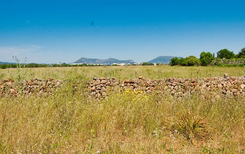 Duża działka w Llucmajor w ośrodku golfowym Son Antem