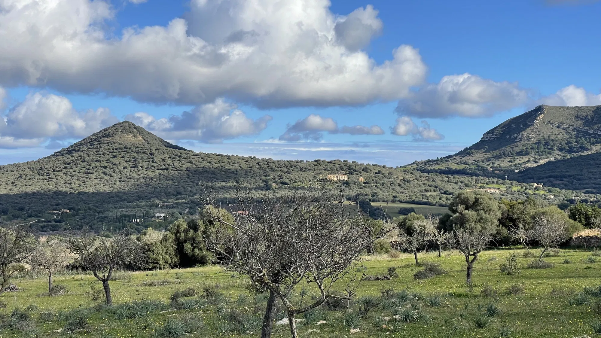 Finca plot with building permit, project, and panoramic views-11