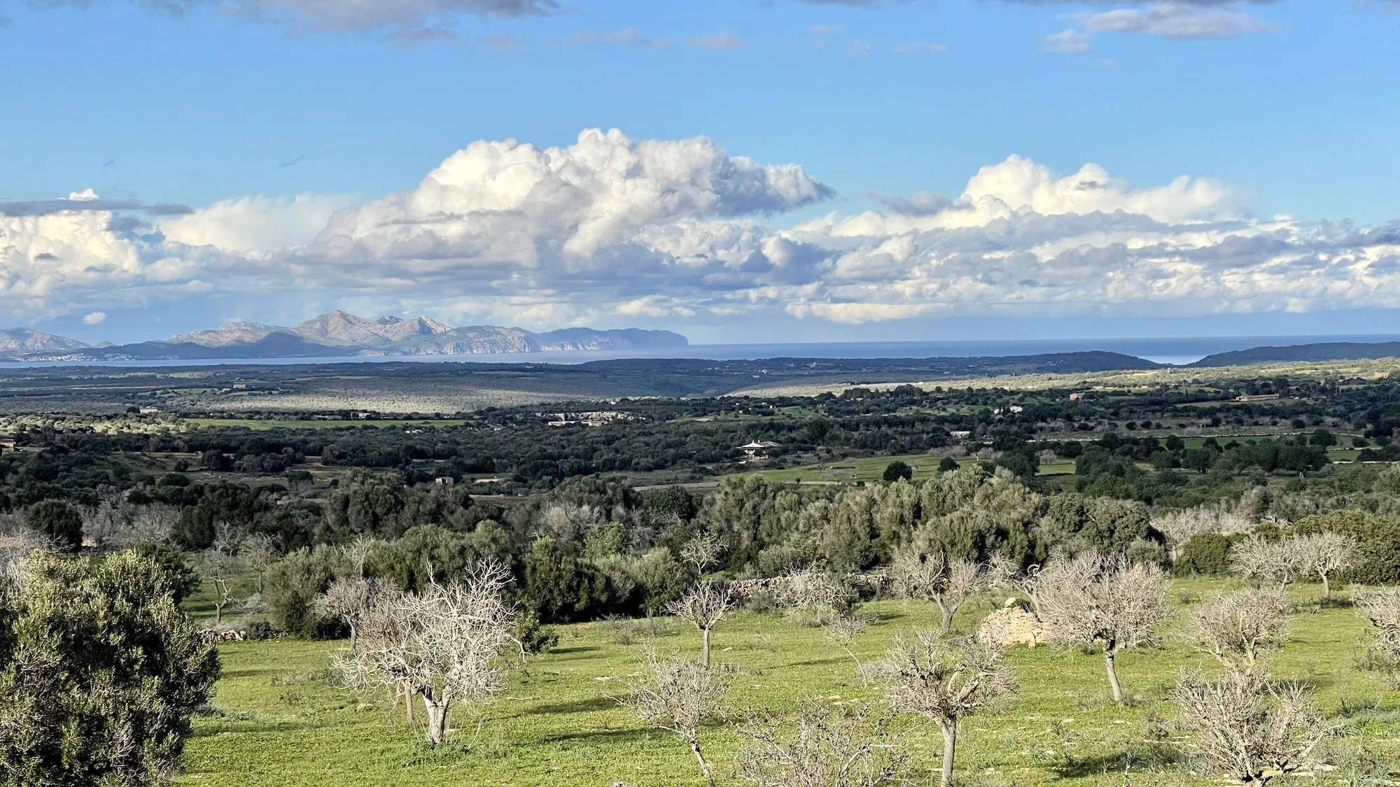 Finca plot with building permit, project, and panoramic views-10