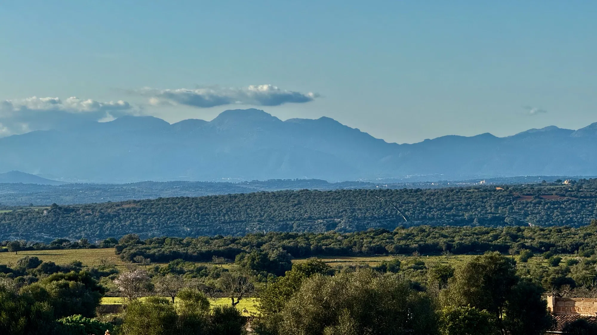 Finca plot with building permit, project, and panoramic views-3