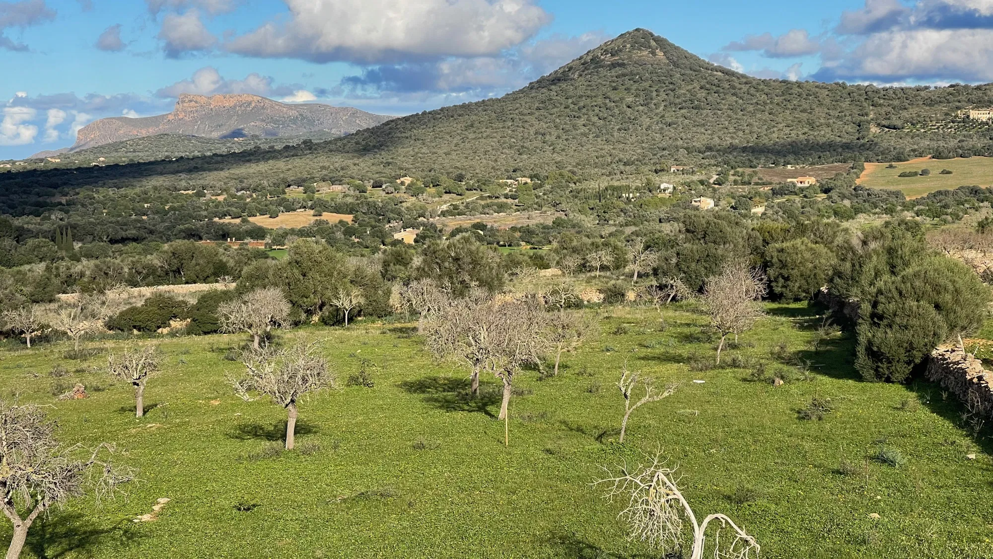 Finca plot with building permit, project, and panoramic views-12