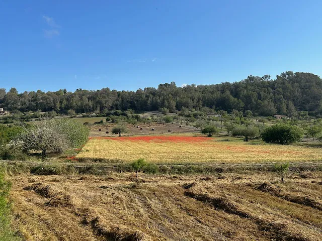 Parcela de terreny amb un pla de desenvolupament aprovat en una zona tranquil·la a prop de Montuïri-2
