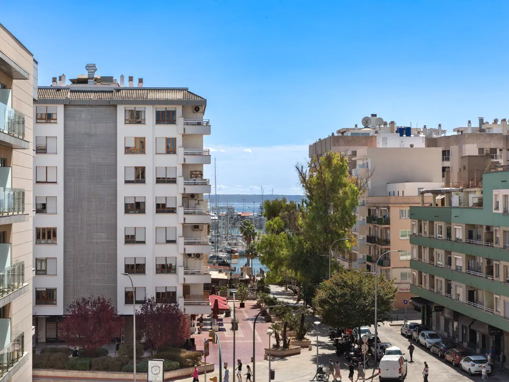 Bright Renovated Apartment with Marina Views in Son Armadams-15