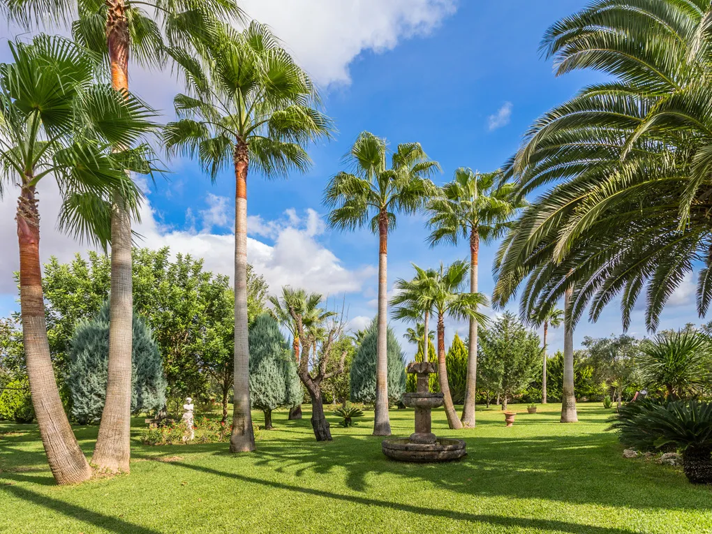 Lanthus med enastående trädgård och pool i utkanten av Sencelles-3