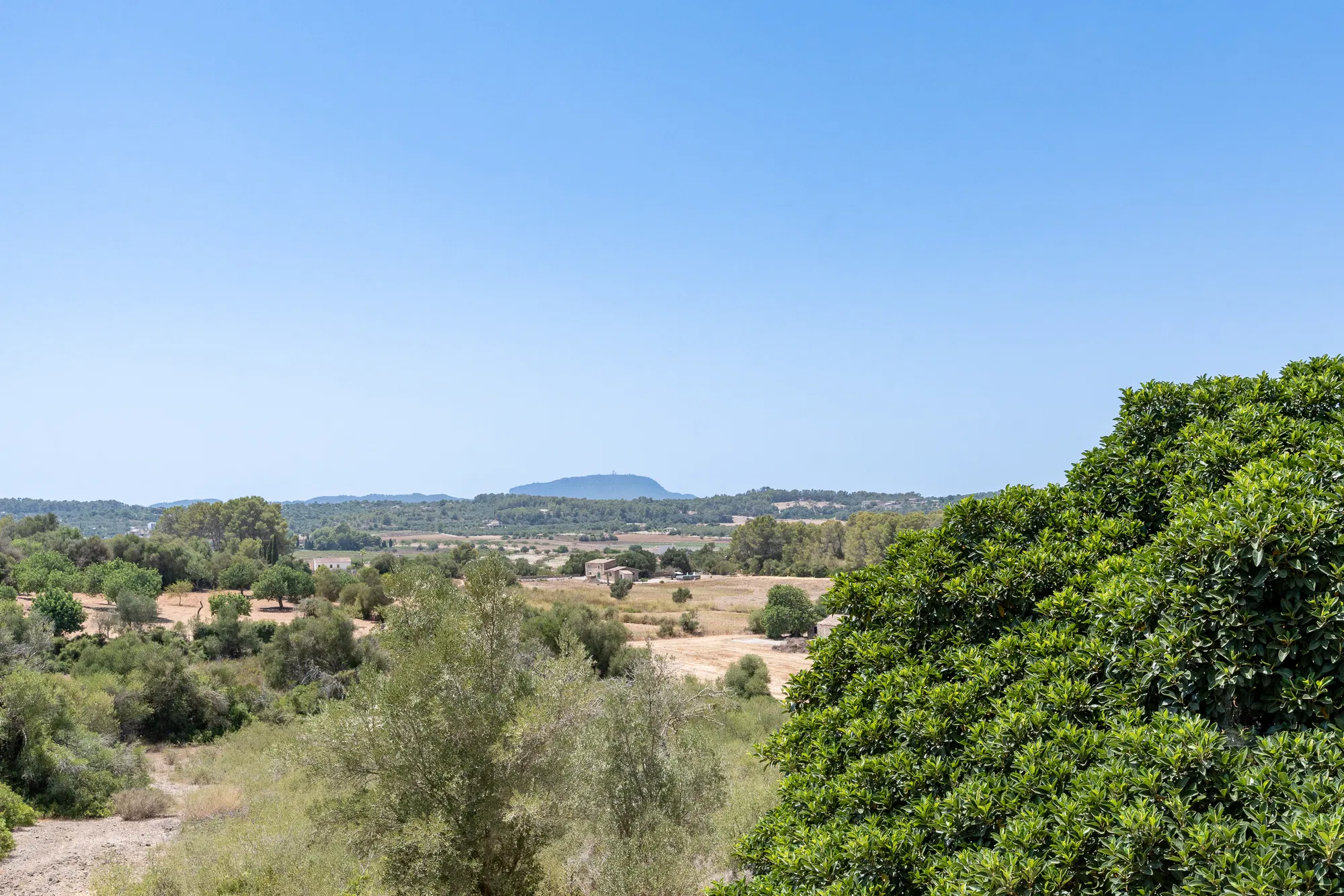 Finca with Guest Houses, Panoramic Views and Privacy-34
