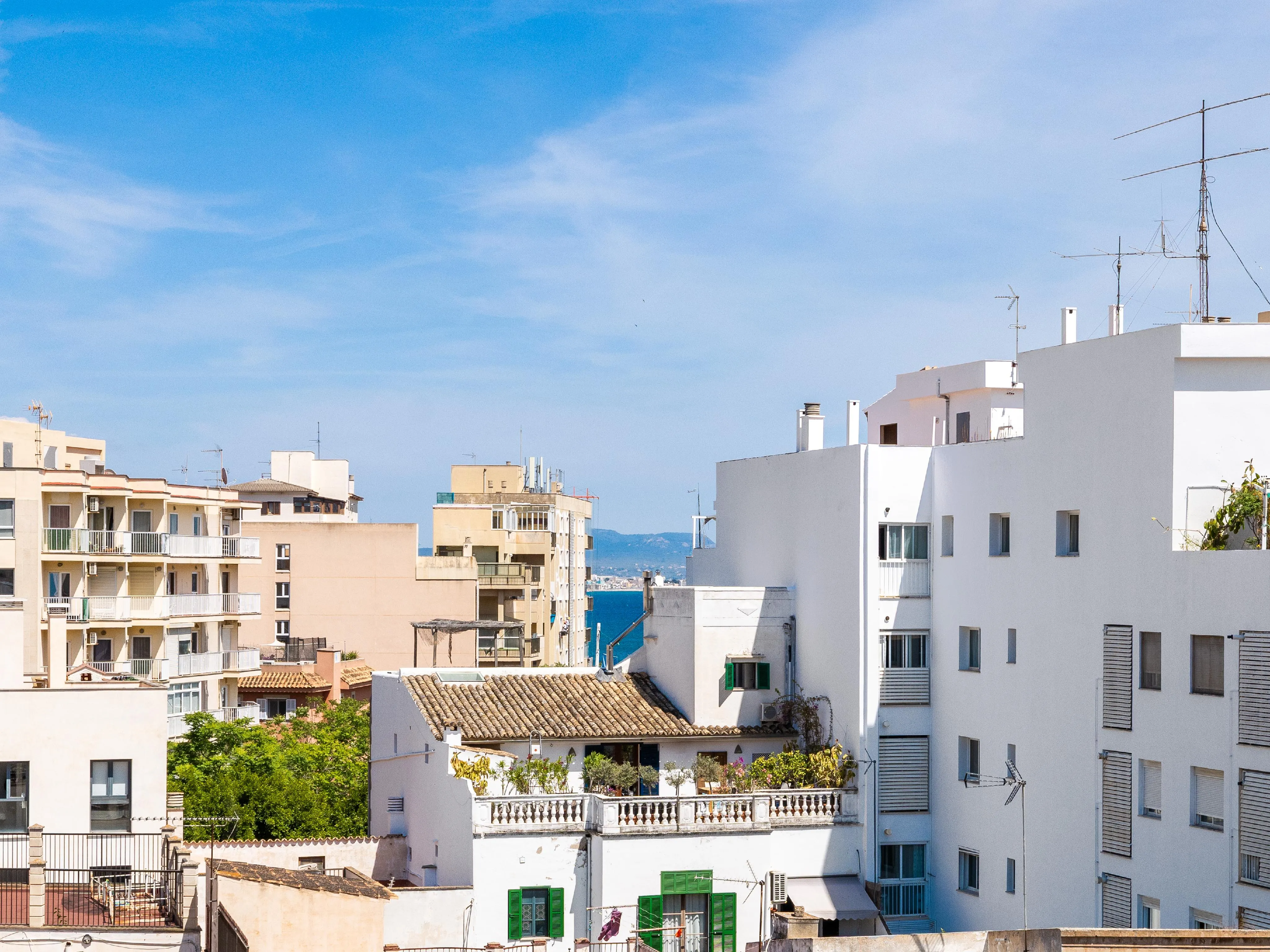 Gerenoveerd appartement met groot terras in el Terreno-12