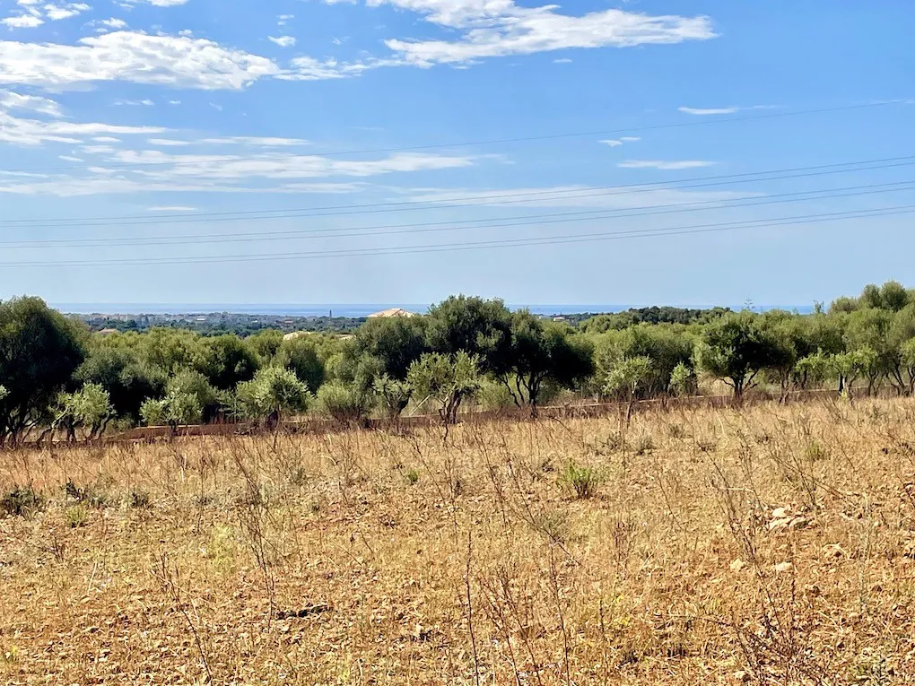 Terreno con licencia de obra y vistas al mar-6