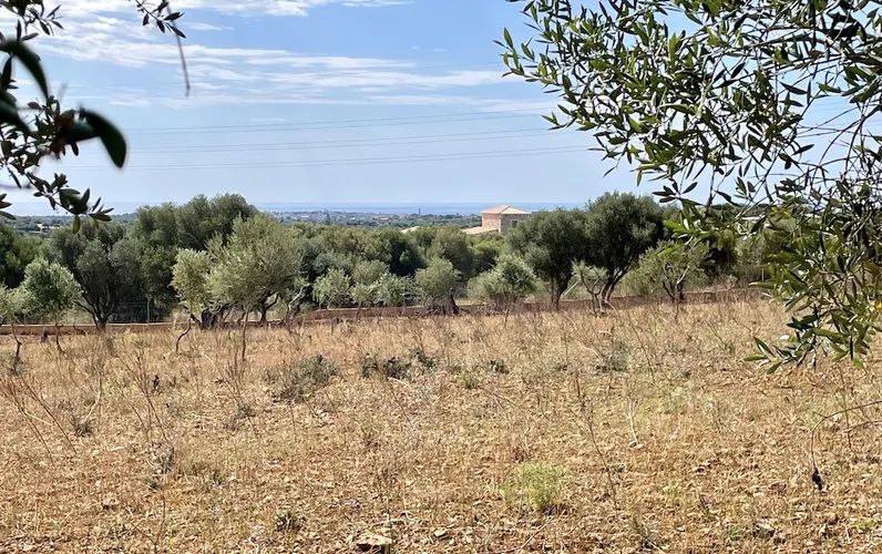 Terreno con licencia de obra y vistas al mar
