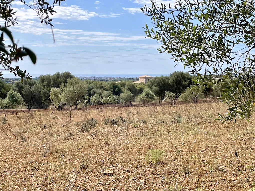 Parcela de terreny amb permís d'urbanització i vistes al mar-1