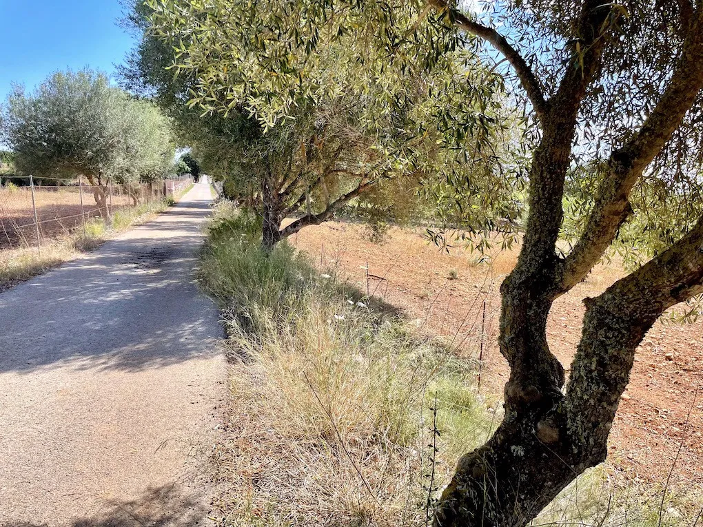 Terreno con licencia de obra y vistas al mar-3