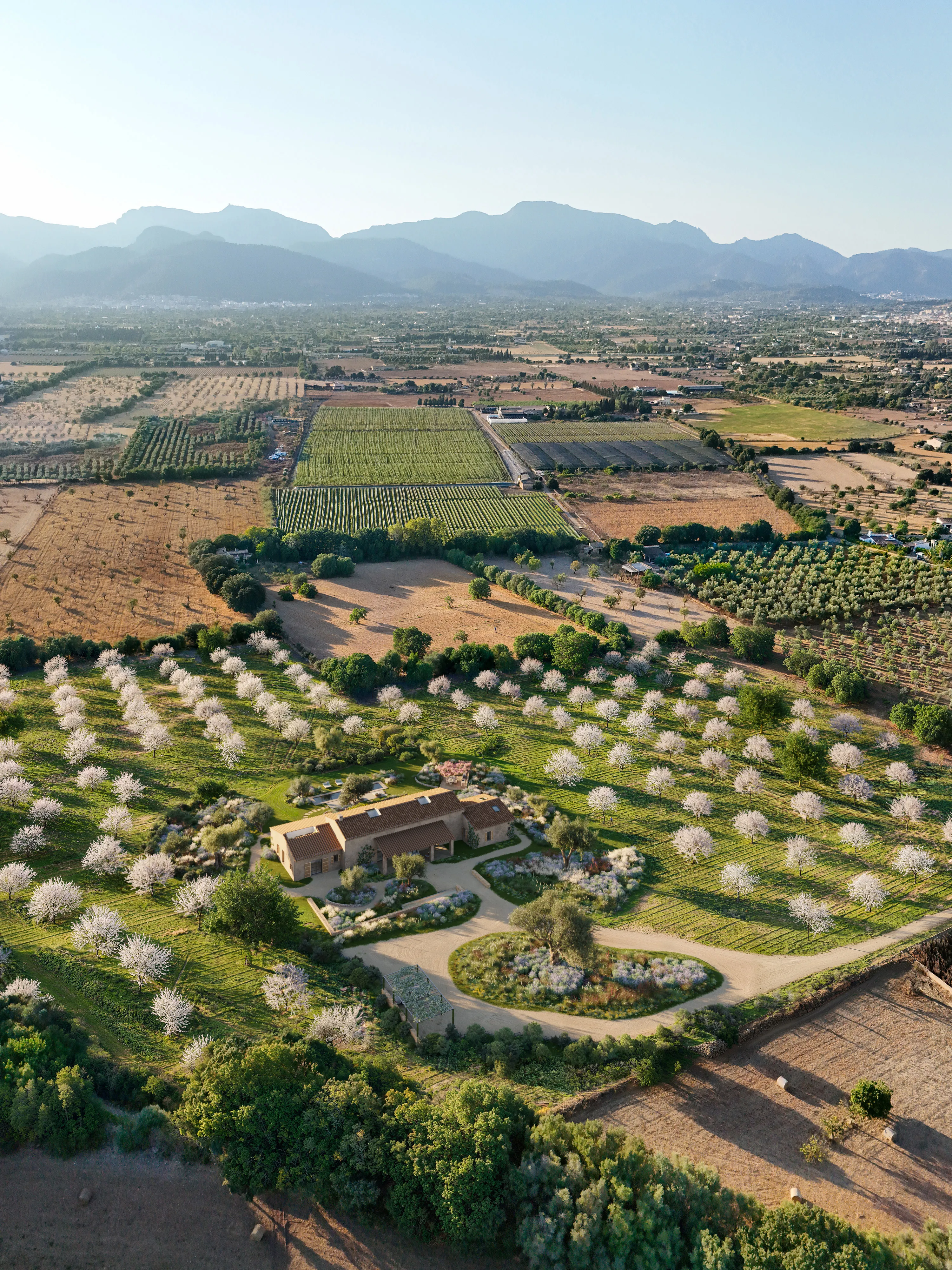 Exclusive finca project in Binissalem, Mallorca: A masterpiece of mediterranean architecture-14