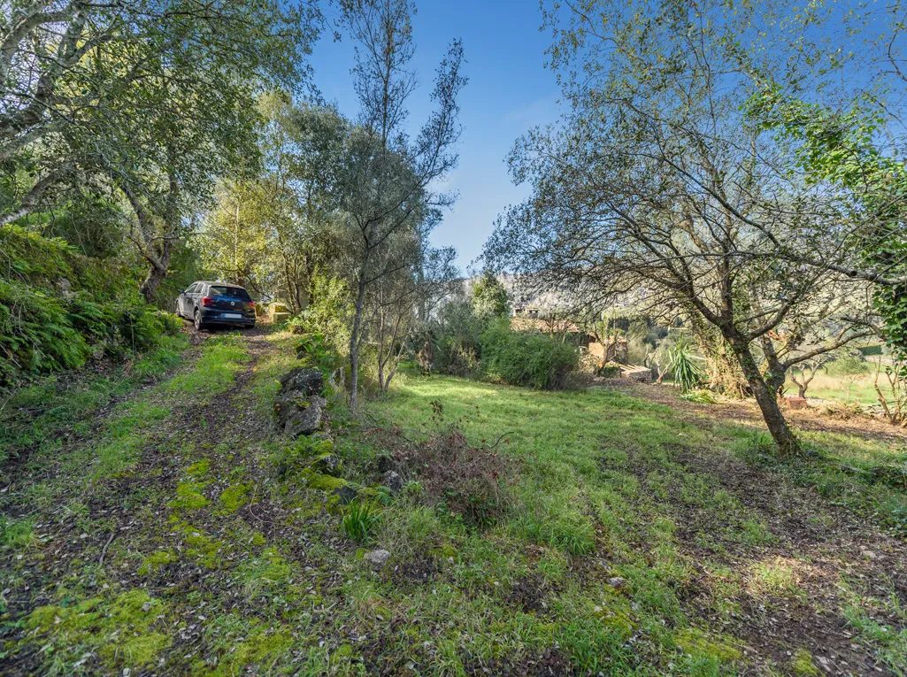 Finca to reform in stunning Vall d'en March-5