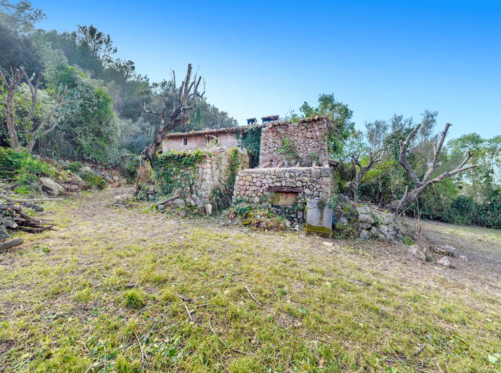 Finca to reform in stunning Vall d'en March-7