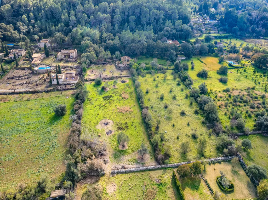 Finca to reform in stunning Vall d'en March-3