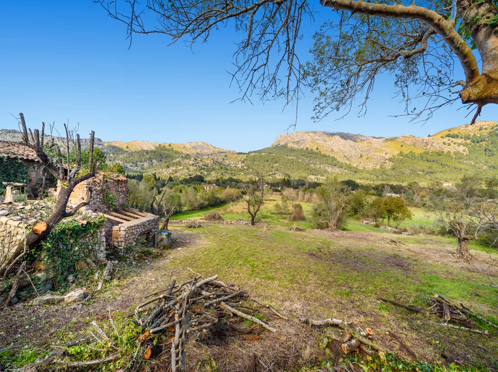 Finca to reform in stunning Vall d'en March-6