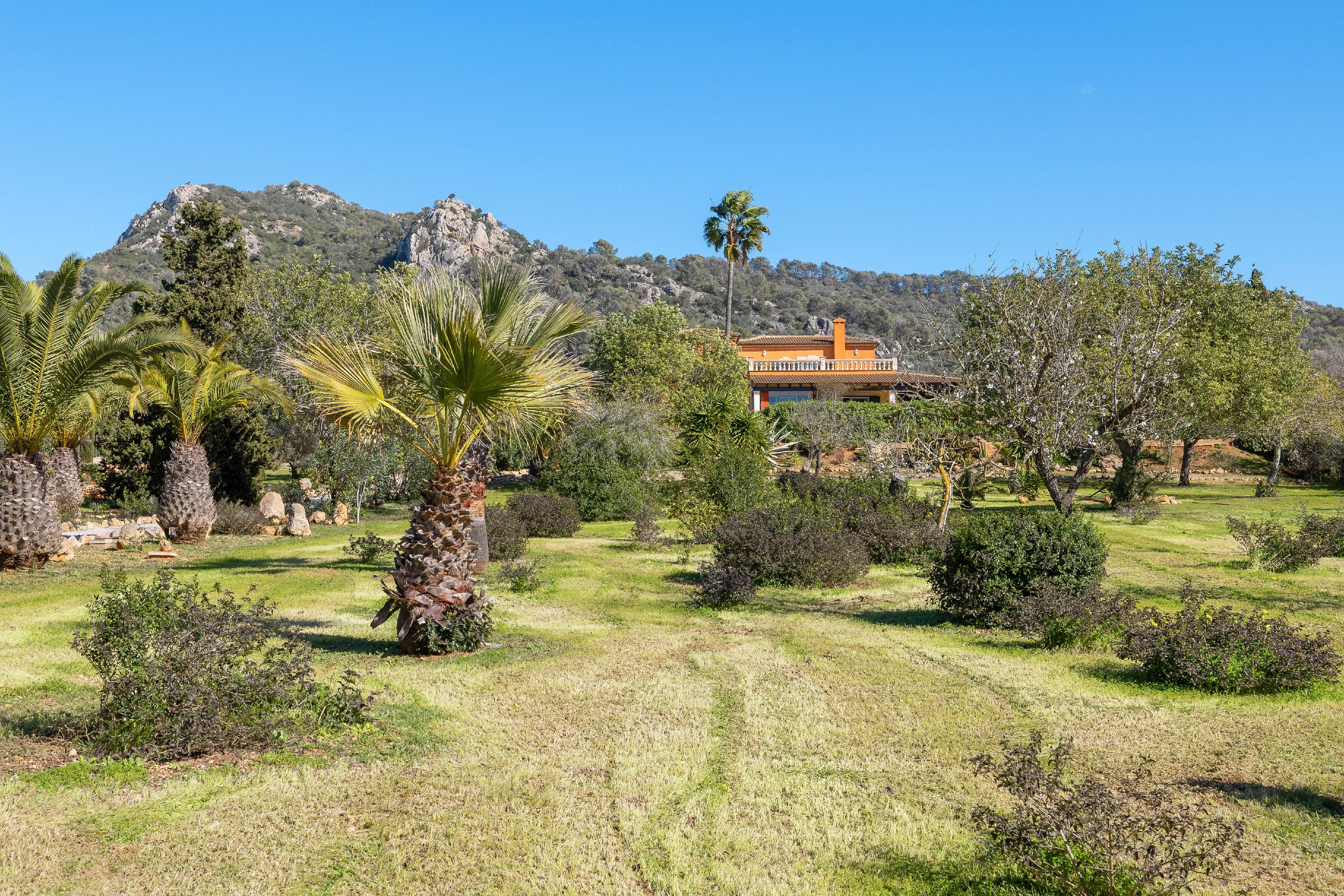 Finca mediterrània amb vistes panoràmiques i piscina en Llucmajor-4