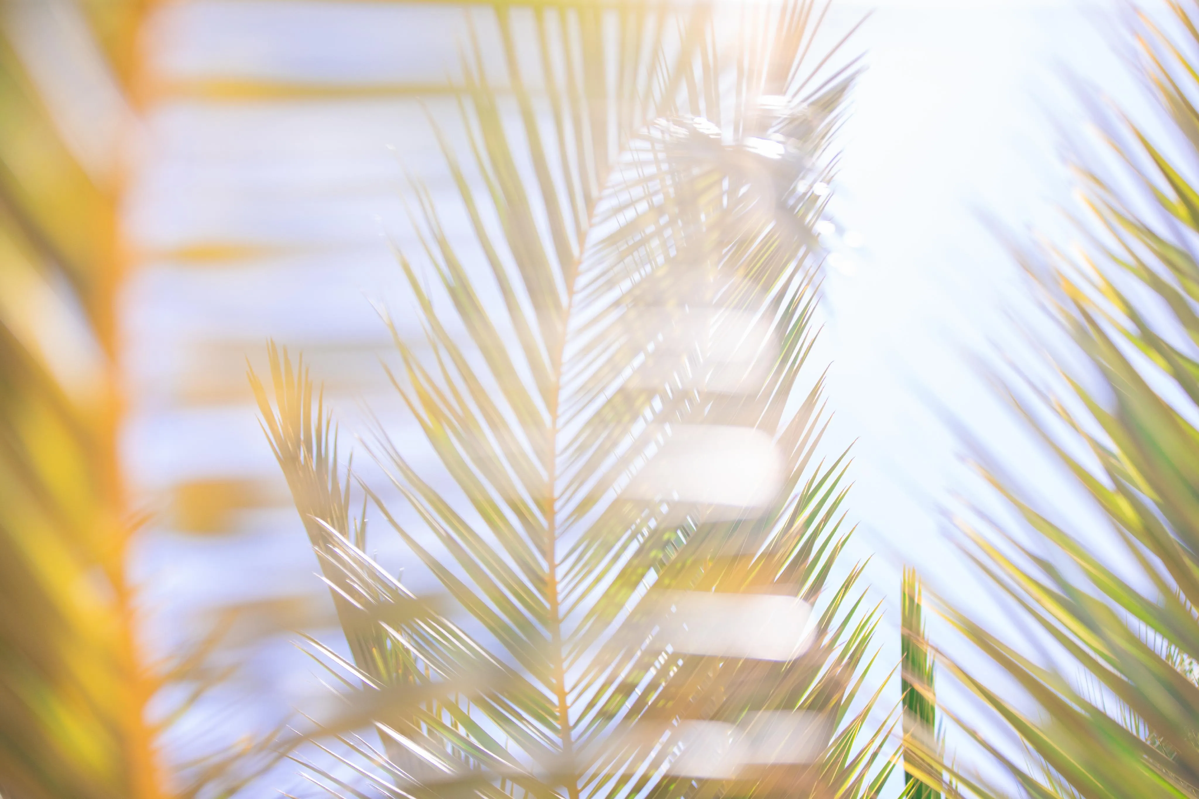 Moderne villa met uniek karakter in Sa Torre-3