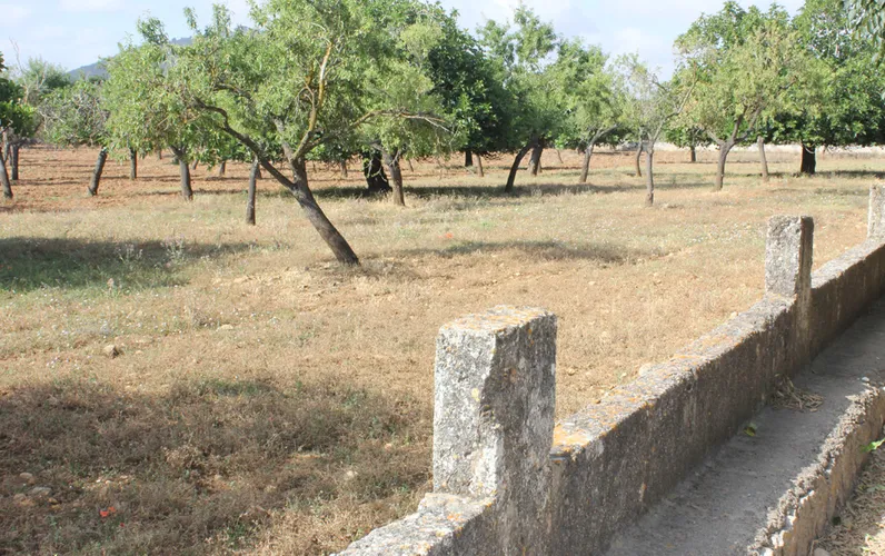 Piękna wiejska działka pod dom jednorodzinny