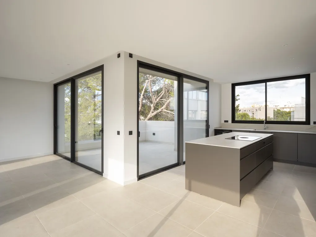 Impressionant àtic d'obra nova amb pisicna-9