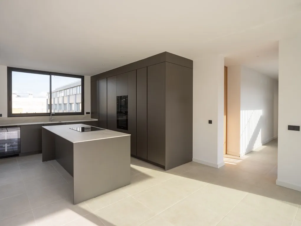 Impressionant àtic d'obra nova amb pisicna-5