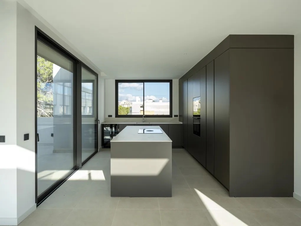 Impressionant àtic d'obra nova amb pisicna-3