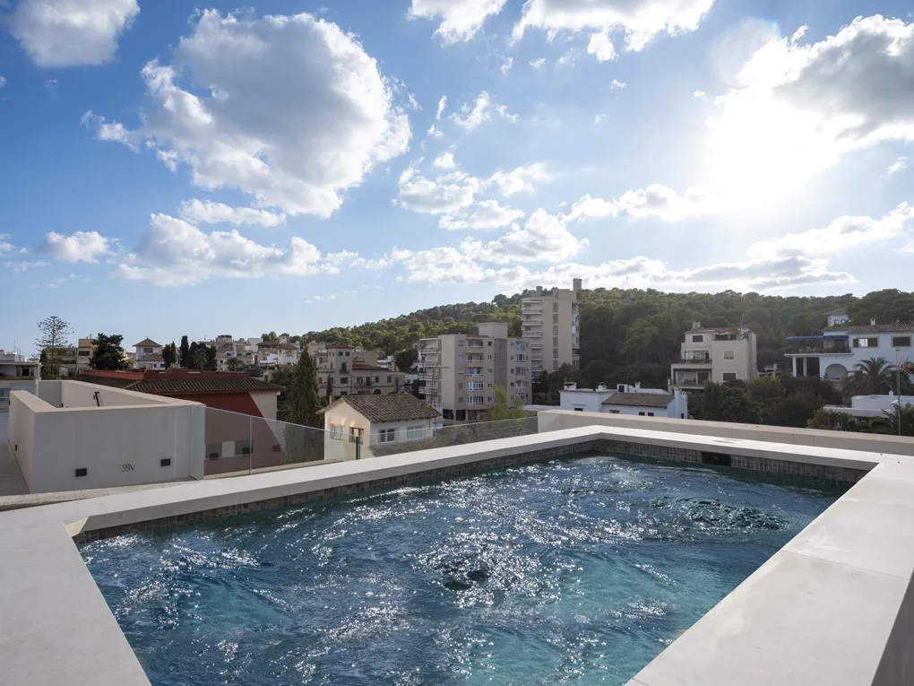 Impressionant àtic d'obra nova amb pisicna-1