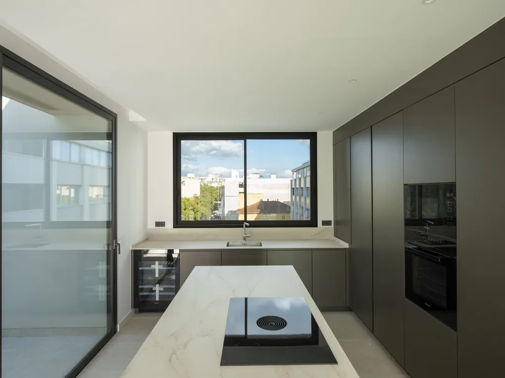 Impressionant àtic d'obra nova amb pisicna-8