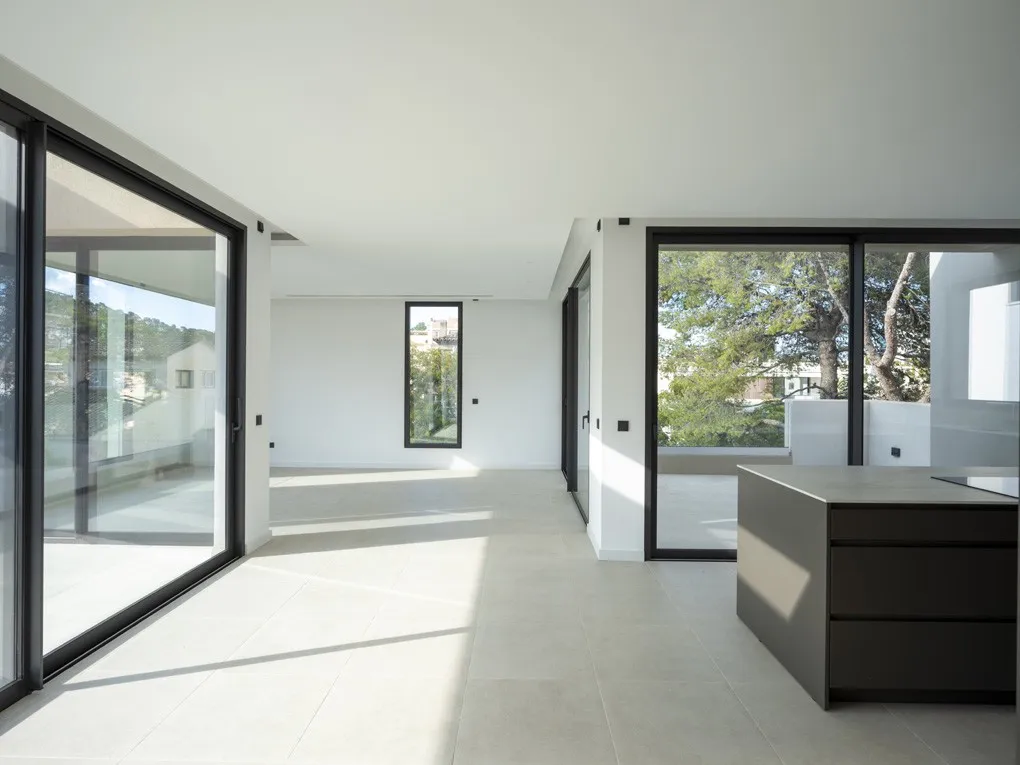 Impressionant àtic d'obra nova amb pisicna-2