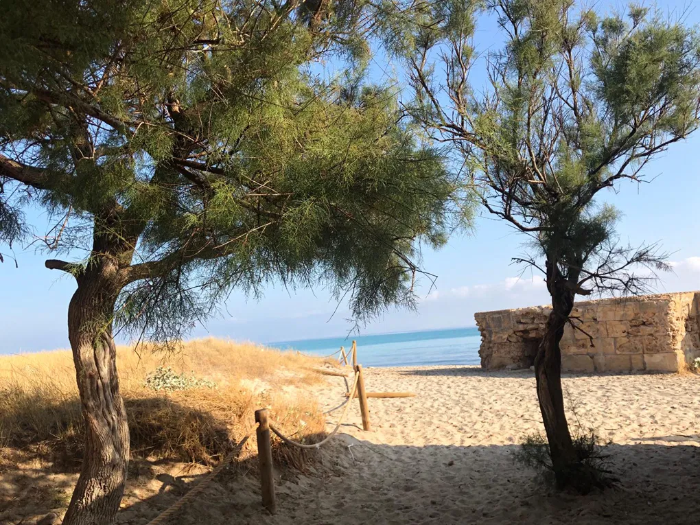 Moderne villa med saltvandspool i Son Serra de Marina-4