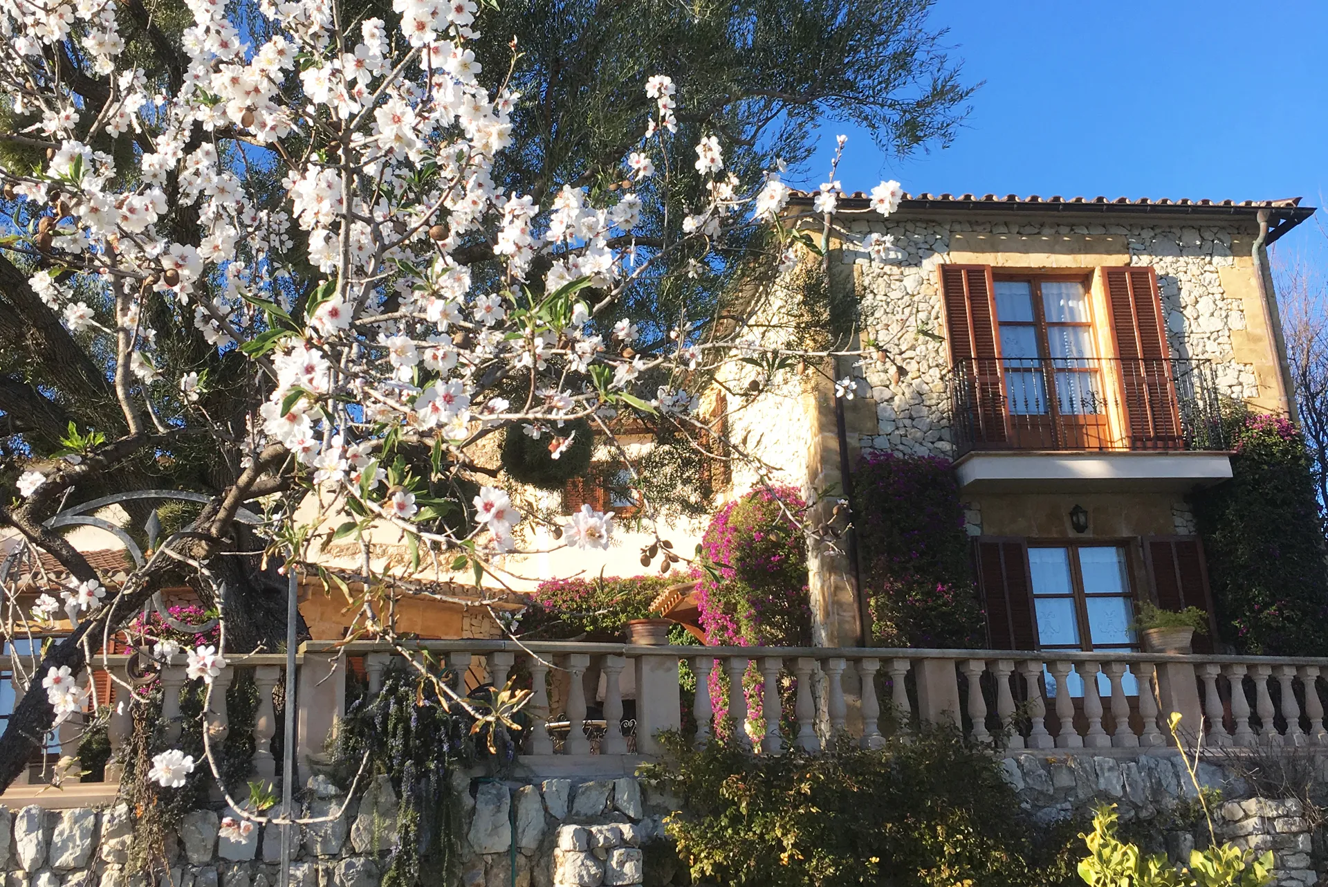 "Finca Mastague" Temporary rental in Pollensa-26