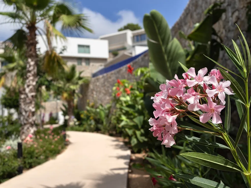 Modern Villa with highest comfort Available in summer-20