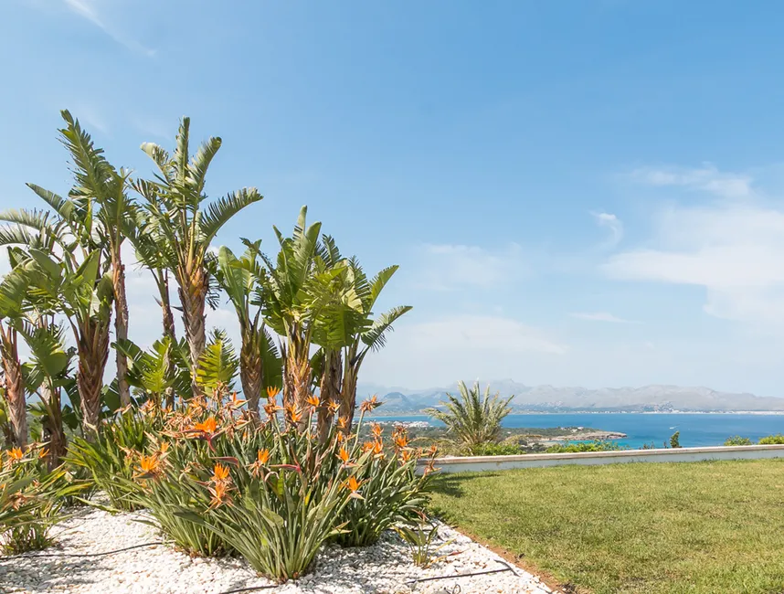 "Palazzo Tramontana in Cielo de Bonaire". Vakantiewoningen in Alcudia.-14