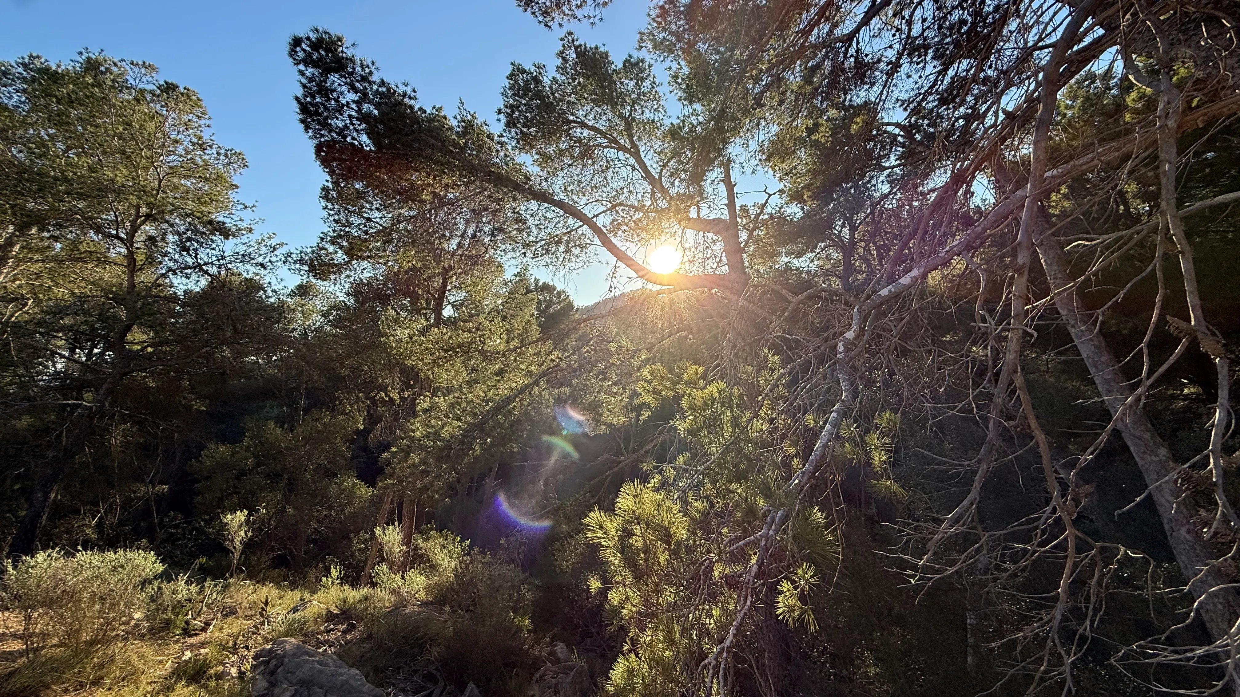 Et sted for visioner - byggegrund med gyldig byggetilladelse i Monport, Port Andratx-12