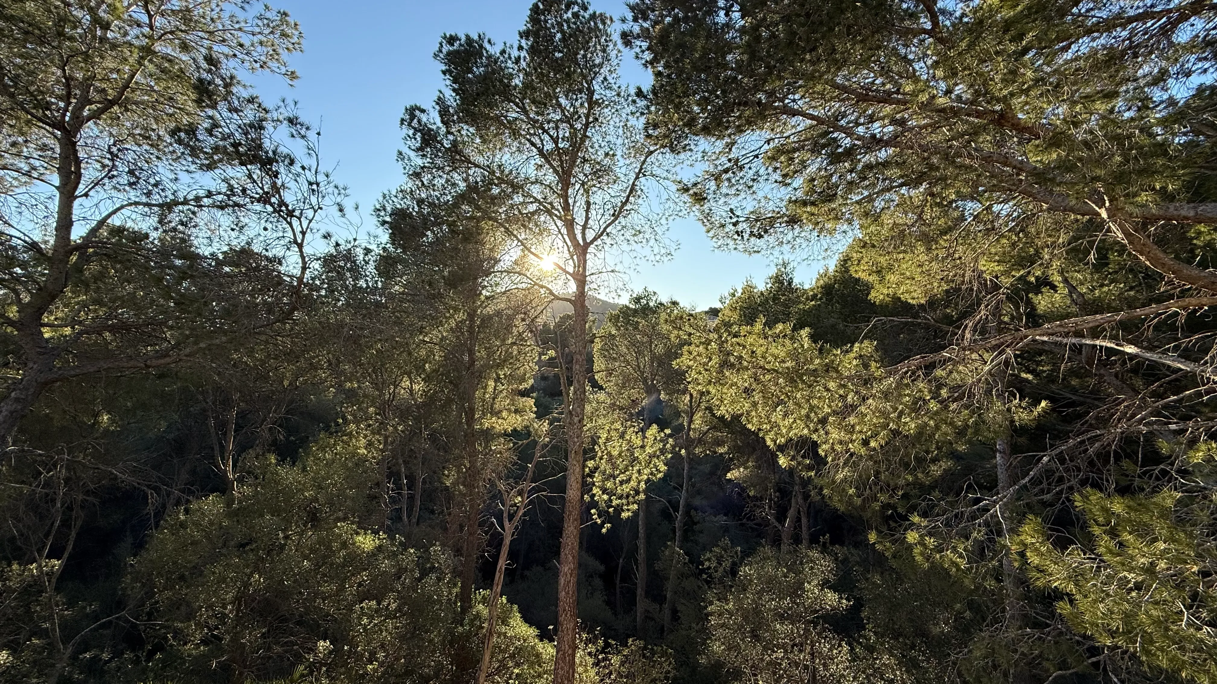 Et sted for visioner - byggegrund med gyldig byggetilladelse i Monport, Port Andratx-11