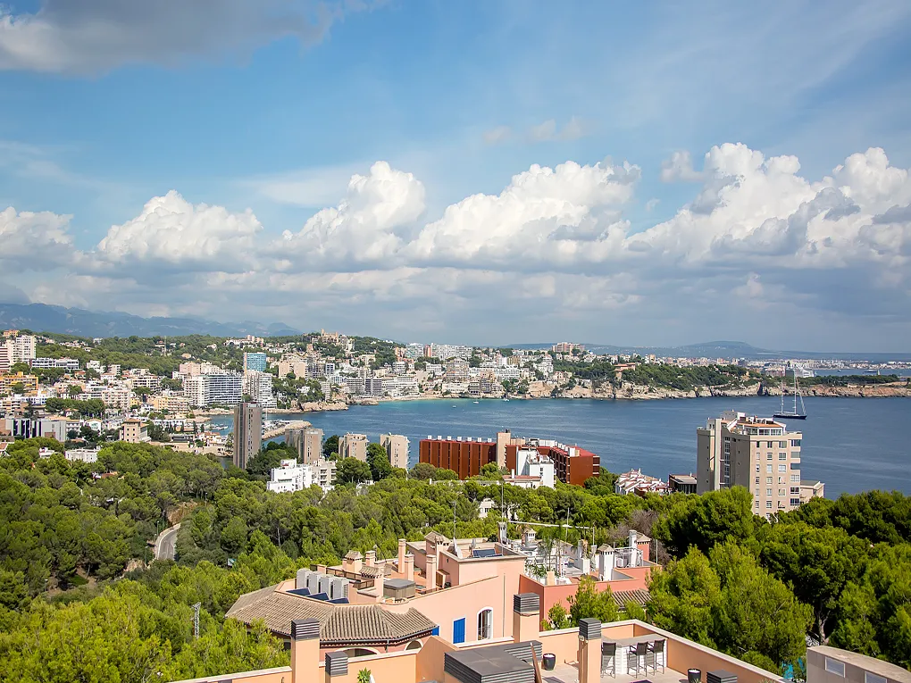 Renovated penthouse with spectacular sea views and perfect orientation-21