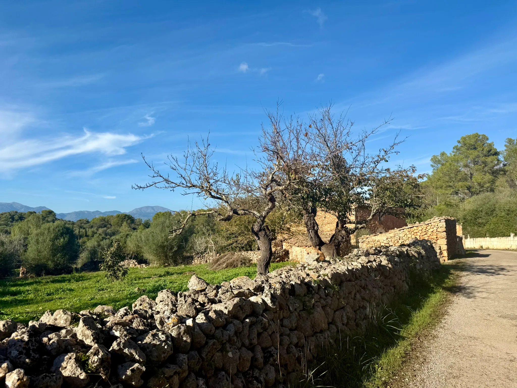 200 jaar geschiedenis - beschermde charme ontmoet modern design-8