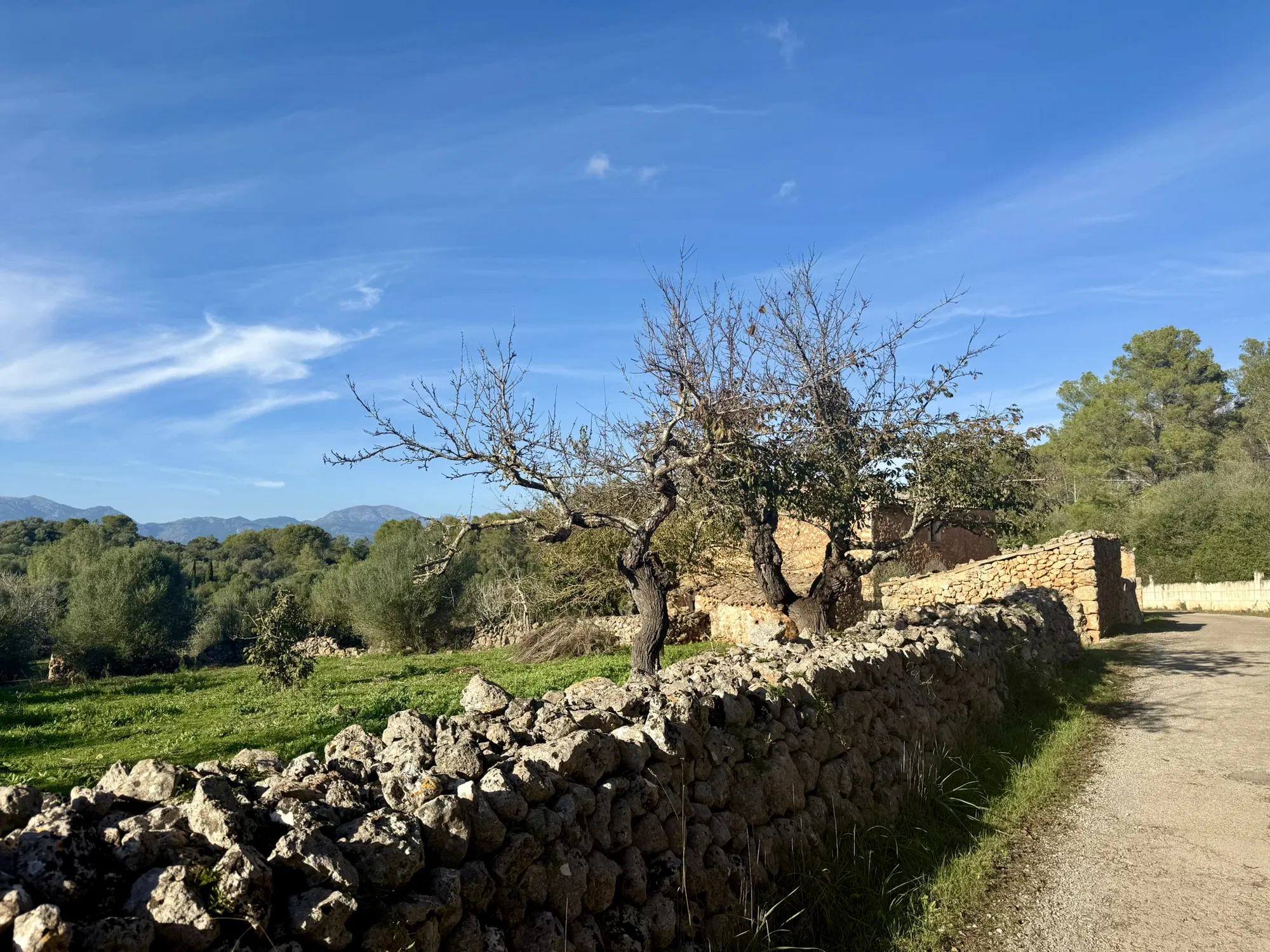 Restoration project with license in Llubí – Two centuries of history meet contemporary design-8