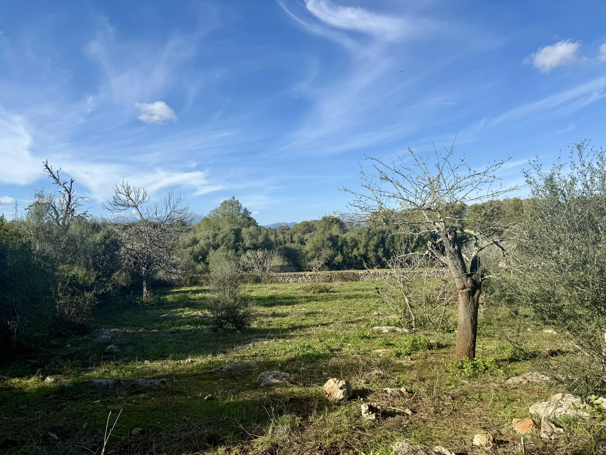 Restoration project with license in Llubí – Two centuries of history meet contemporary design-2