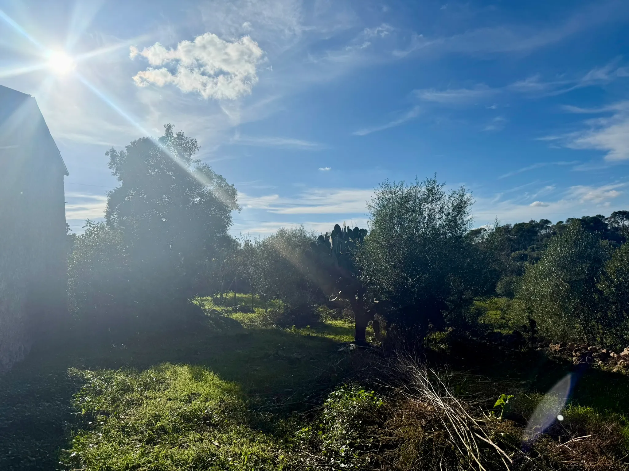 200 jaar geschiedenis - beschermde charme ontmoet modern design-5