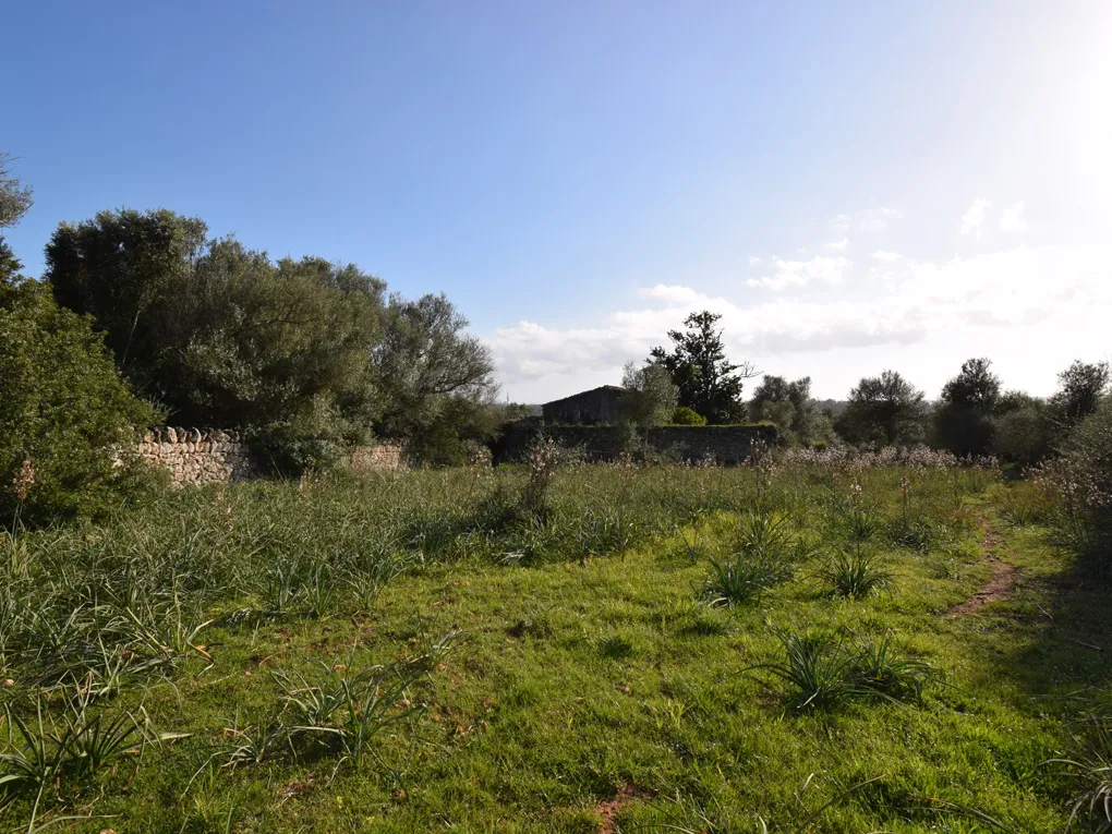 Mallorquin country house to renovate-5