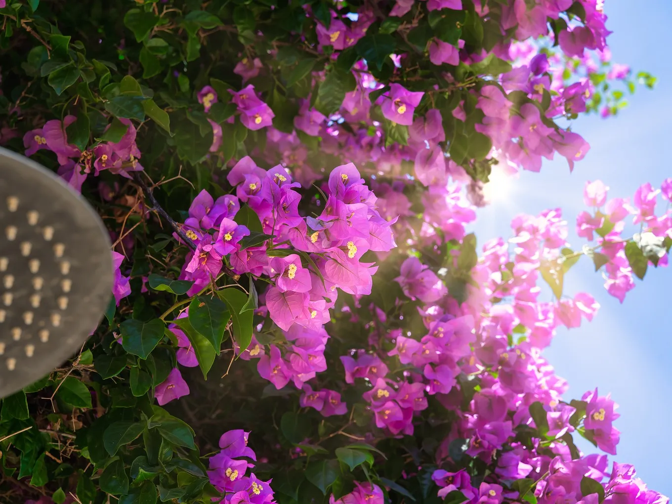 Элегантная вилла в Камп-де-Мар-23