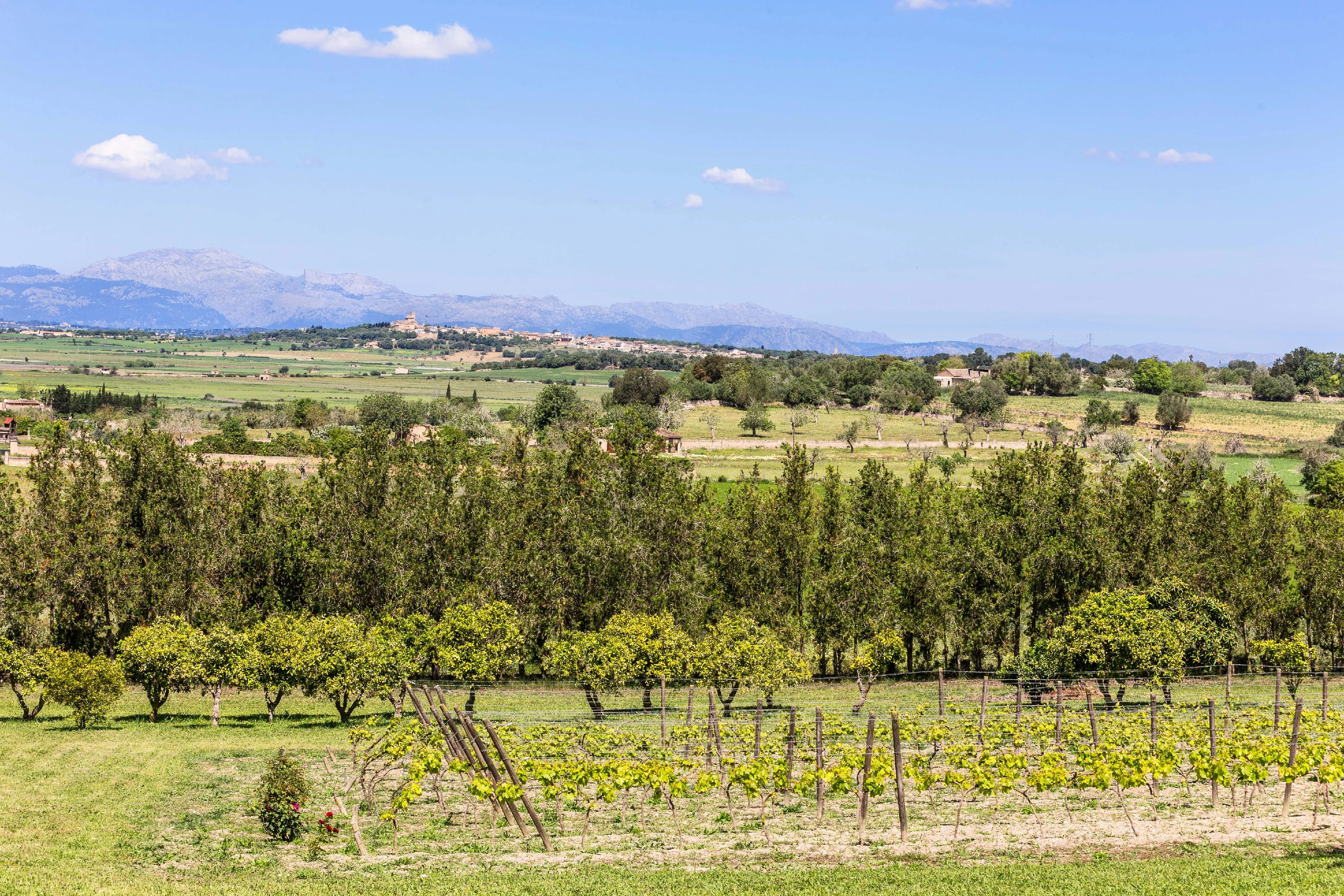 Un racó amb ànima: Casa de poble amb jardí-4