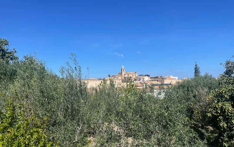 Exclusive project with open views in Maria de la Salut