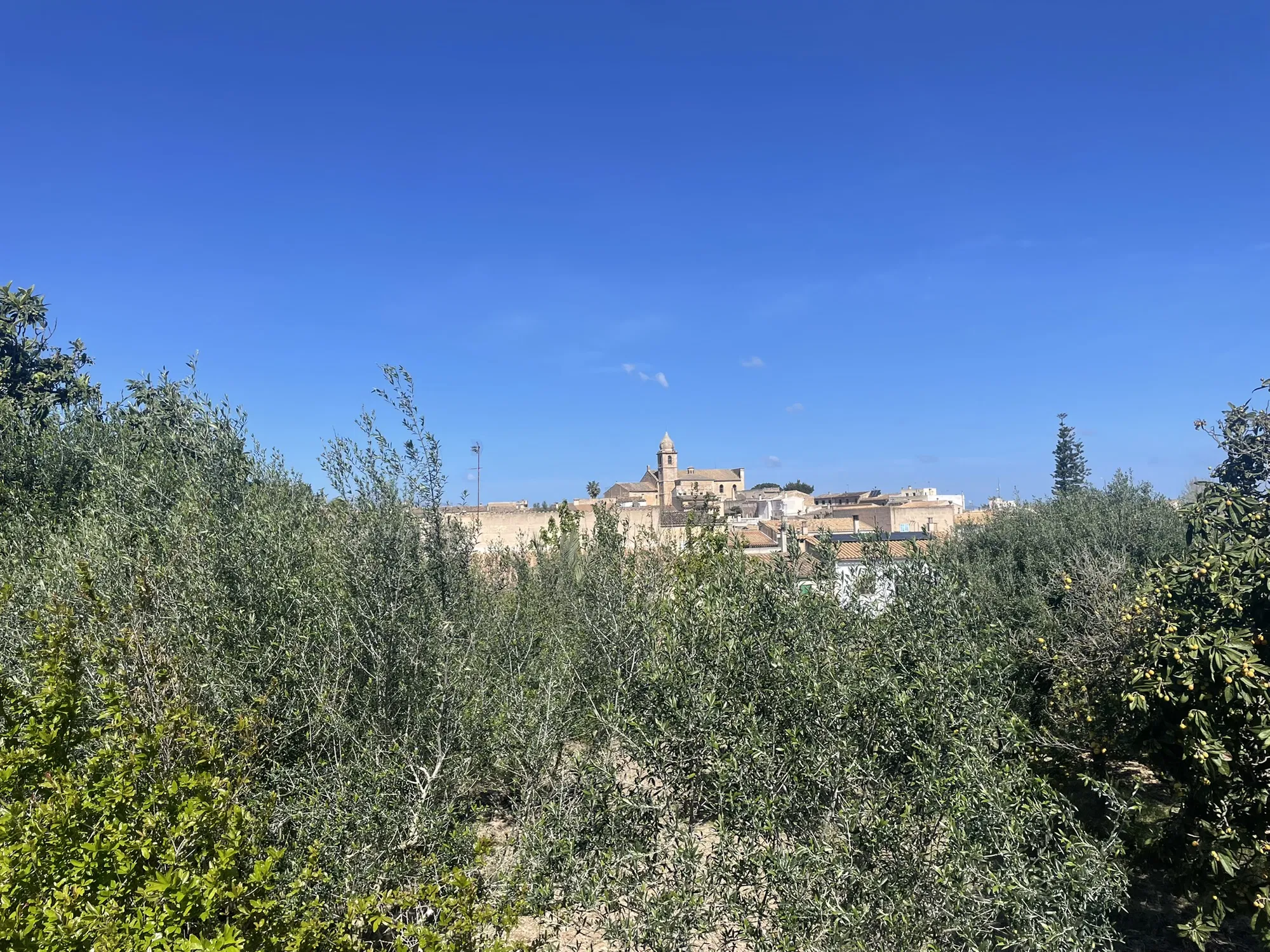 Un projecte exclusiu amb vistes sense obstruccions a Maria de la Salut-1