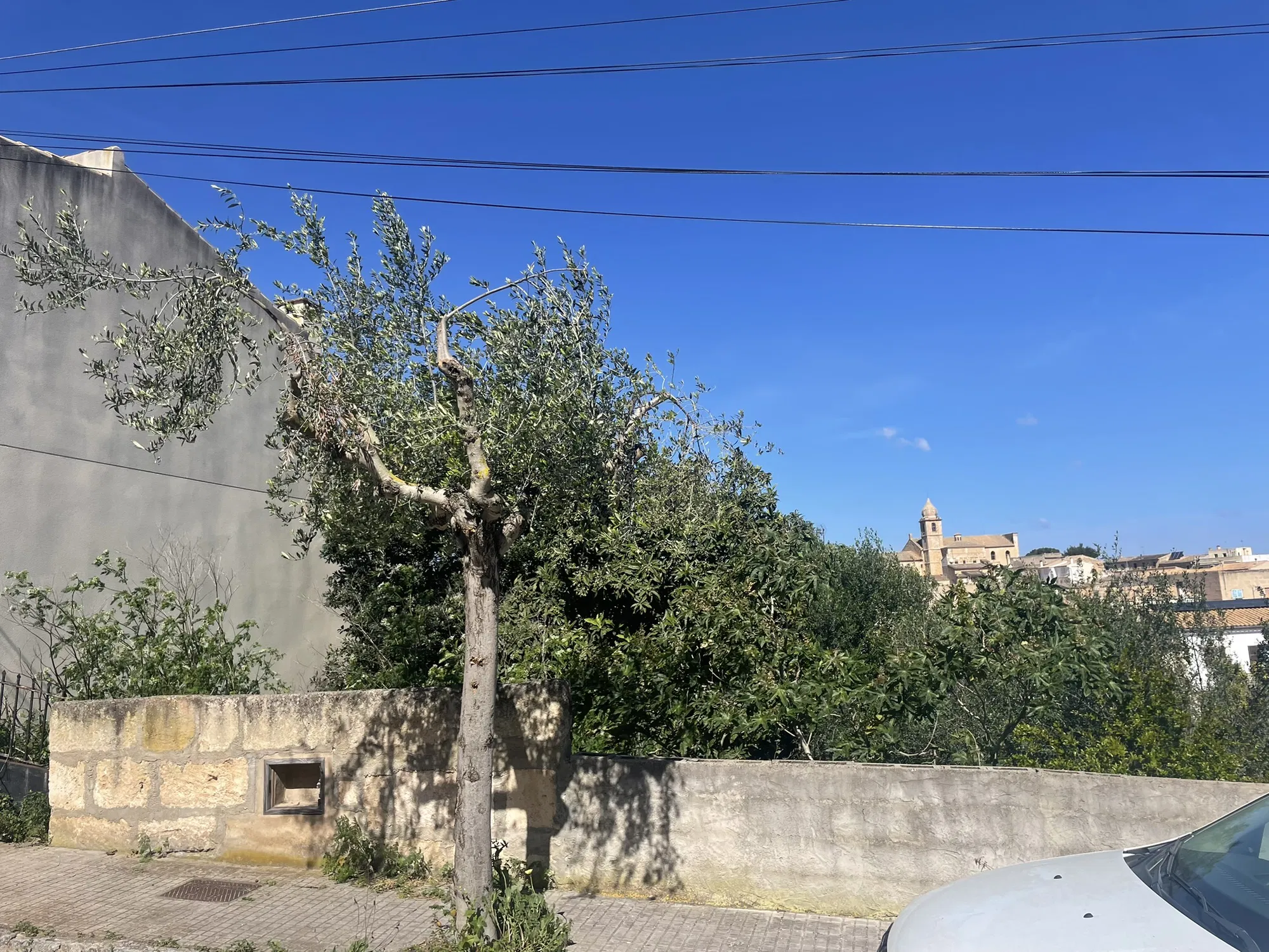 Un projecte exclusiu amb vistes sense obstruccions a Maria de la Salut-13