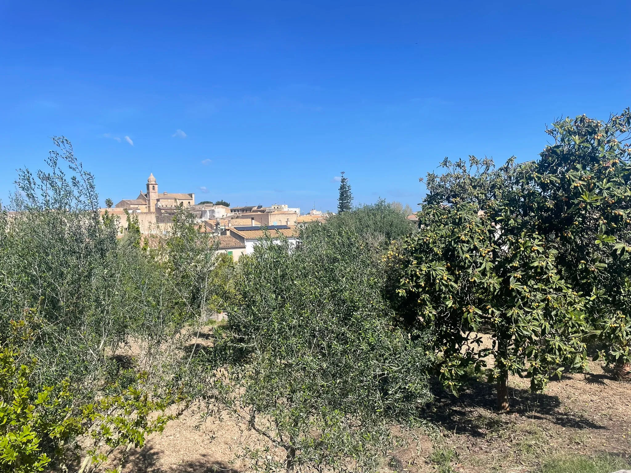 Exclusive project with open views in Maria de la Salut-15