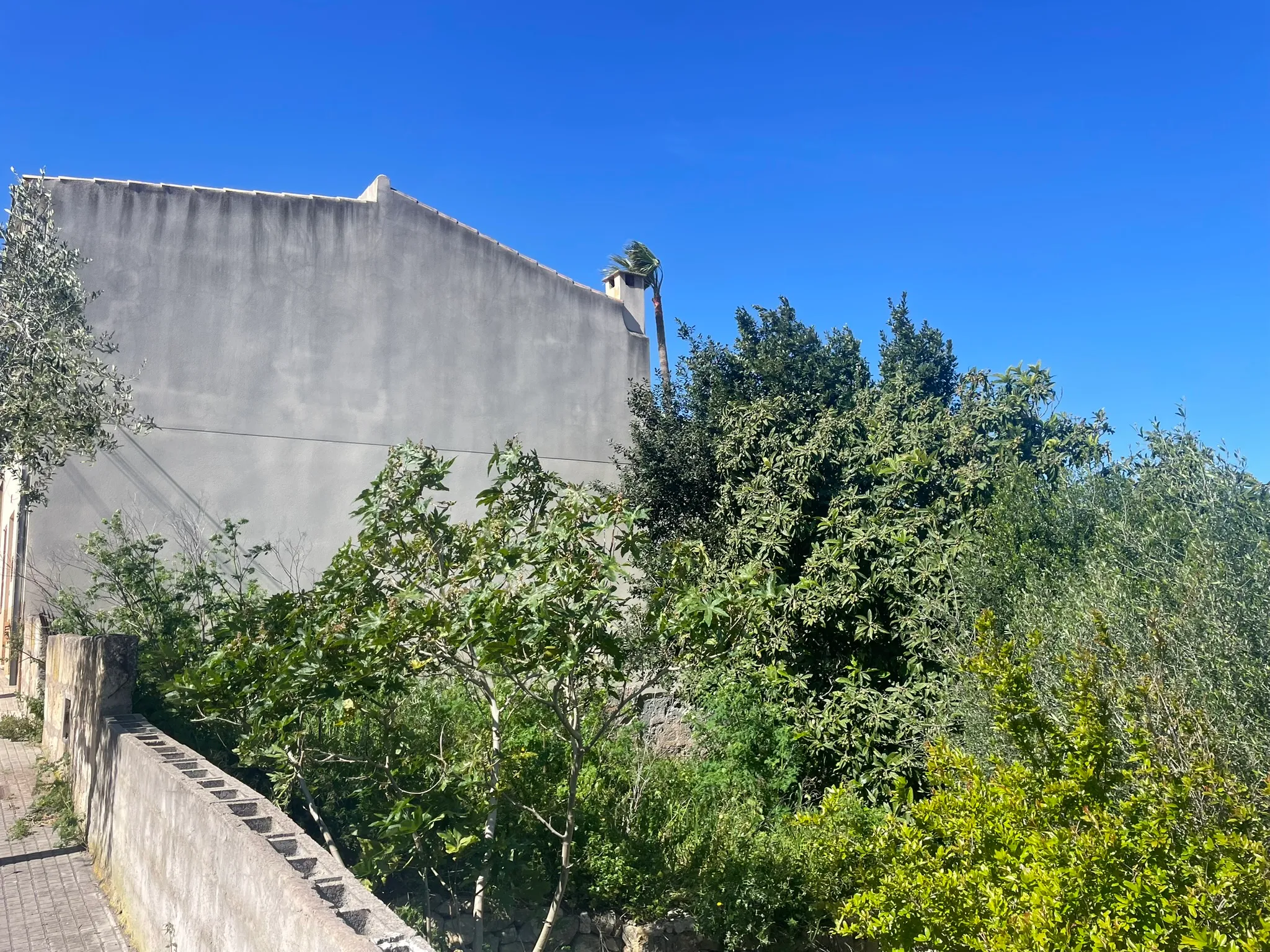 Exclusive project with open views in Maria de la Salut-14